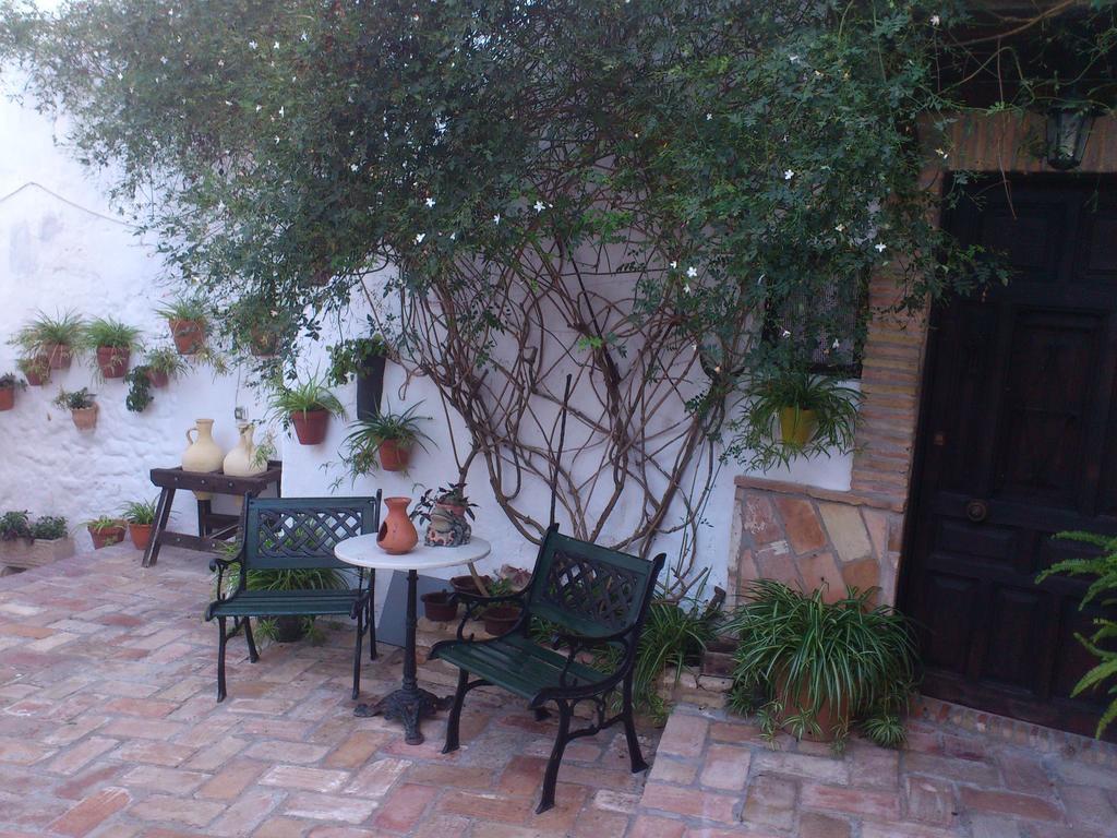 Casas Andrea La Cueva *