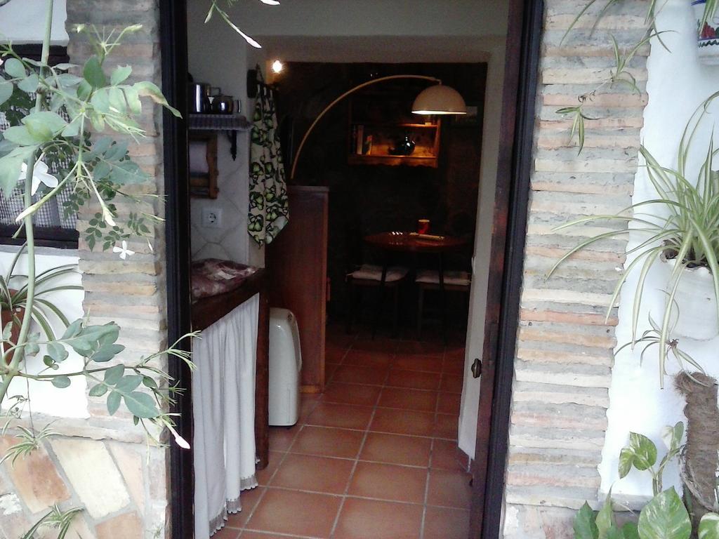 Apartment Casas Andrea La Cueva